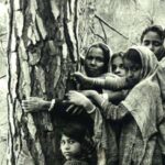 chipko andolan 4